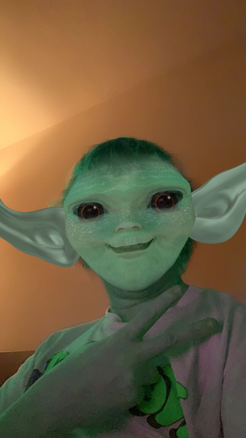 shrek  Search Snapchat Creators, Filters and Lenses