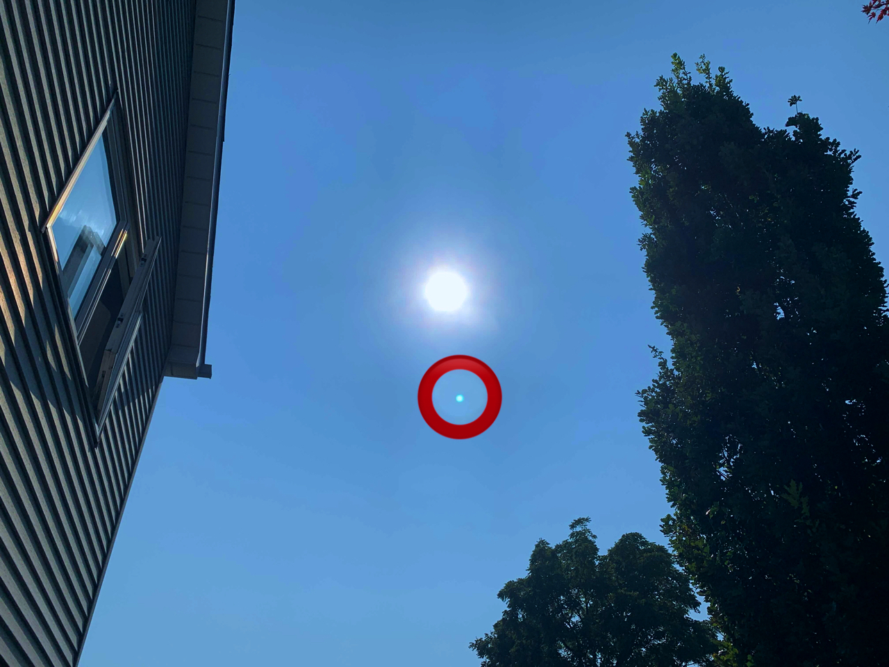 How Do I Get Rid Of Those Annoying Light Dots When Taking Pictures On