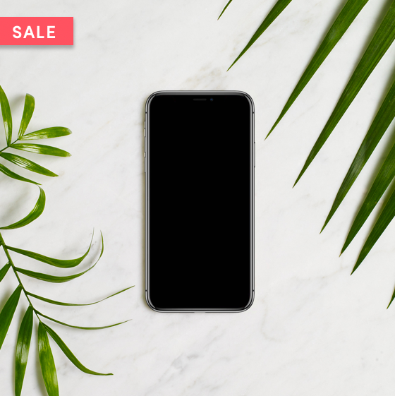 The iPhone X from Wing.