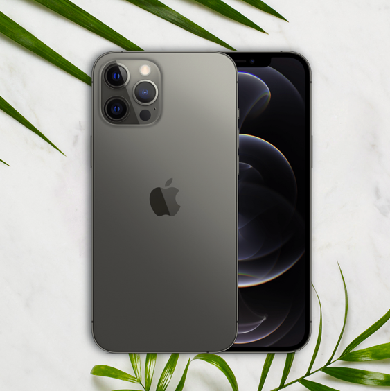 iPhone 12 Pro Max at Wing.
