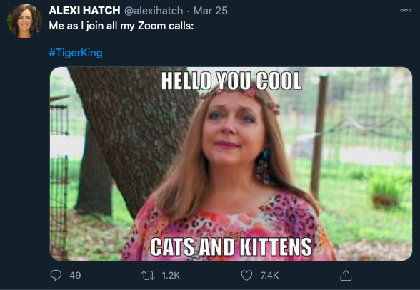 Tiger King content was featured in some of the funniest memes in 2020.